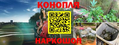 прущие грибы Кимры