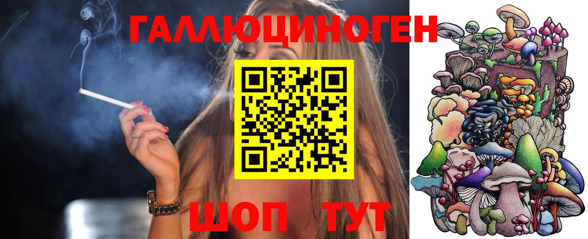 Черногорск  как найти закладки  Вход с VPN  Галлюциногенные грибы прущие грибы 